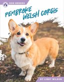 Pembroke Welsh Corgis