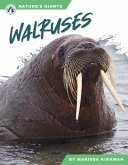 Walruses