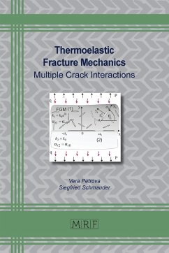 Thermoelastic Fracture Mechanics - Petrova, Vera; Schmauder, Siegfried