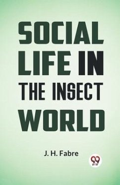 Social Life in the Insect World - Fabre J H