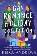 Gay Romance Holiday Collection - Bild 1