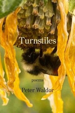 Turnstiles - Waldor, Peter