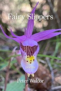 Fairy Slippers - Waldor, Peter