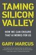 Taming Silicon Valley - Bild 1