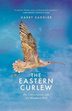 The Eastern Curlew - Curlew, Harry