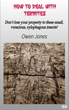 How To Deal With Termites - Owen Jones