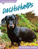 Dachshunds Dachshunds