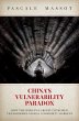 China's Vulnerability Paradox - Bild 1