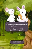 Le meravigliose avventure di Saltino e Lilla (eBook, ePUB)
