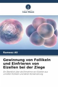 Gewinnung von Follikeln und Einfrieren von Eizellen bei der Ziege - Ali, Rameez