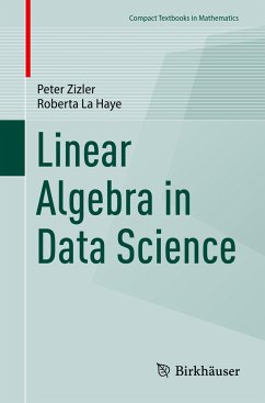Linear Algebra in Data Science - Zizler, Peter;La Haye, Roberta