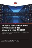 Analyse spécialisée de la virtualisation des serveurs chez TESCHA