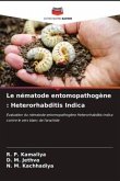Le nématode entomopathogène : Heterorhabditis Indica
