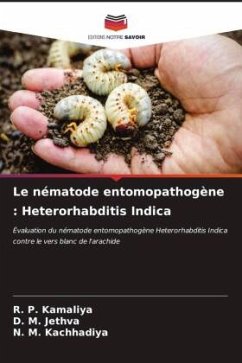 Le nématode entomopathogène : Heterorhabditis Indica - Kamaliya, R. P.;Jethva, D. M.;Kachhadiya, N. M.