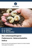 Der entomopathogene Fadenwurm: Heterorhabditis Indica