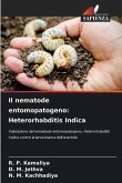 Il nematode entomopatogeno: Heterorhabditis Indica