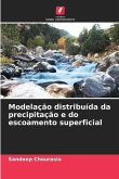 Modelação distribuída da precipitação e do escoamento superficial