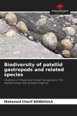 Biodiversity of patellid gastropods and related species