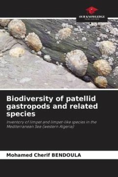 Biodiversity of patellid gastropods and related species - Bendoula, Mohamed Cherif