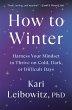 How to Winter (eBook, ePUB) - Bild 1
