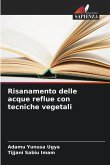 Risanamento delle acque reflue con tecniche vegetali