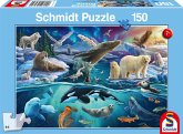 Schmidt 56484 - Tiere in der Arktis, Kinderpuzzle, 150 Teile
