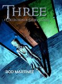 Three: Short Story Collection (eBook, ePUB)
