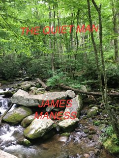 The Quiet Man (eBook, ePUB) - Maness, James
