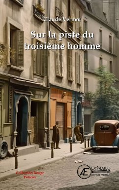 Sur la piste du troisième homme (eBook, ePUB) - Vermot, Claude