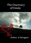 The Discovery of Emily (eBook, ePUB)