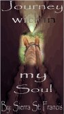 Journey within my Soul (eBook, ePUB)