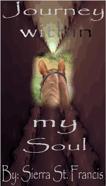 Journey within my Soul (eBook, ePUB)
