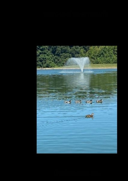 A Spiritual Romantic Life (Charles McCaffery Series 1, #3) (eBook, ePUB)