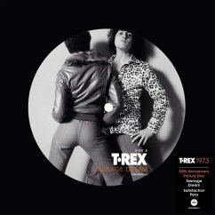 Teenage Dream/Satisfaction Pony (Lim. 7inch) - T.Rex