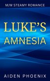 Luke's Amnesia (eBook, ePUB)