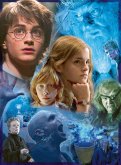Harry Potter 12000204 - Harry Potter in Hogwarts