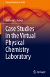 Case Studies in the Virtual Physical... - Bild 1