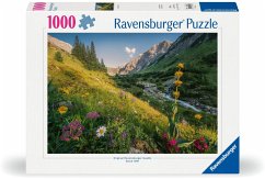Cover Ravensburger 12000484 - Im Garten Eden