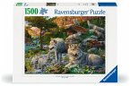 Ravensburger 12000719 - Wolfsrudel im Frühlingserwachen