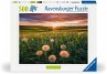 Ravensburger 12000592 - Pusteblumen im... - Bild 1