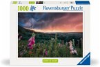 Ravensburger 12000793 - Ein Sturm zieht auf