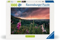 Cover Ravensburger 12000793 - Ein Sturm zieht auf