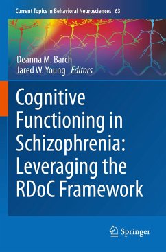 Cognitive Functioning in Schizophrenia: Leveraging the RDoC Framework