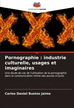 Cover Pornographie : industrie culturelle, usages et imaginaires