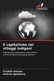 Il capitalismo nei villaggi indigeni