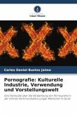 Pornografie: Kulturelle Industrie, Verwendung und Vorstellungswelt