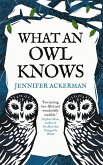 What an Owl Knows