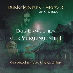 Dunkelspuren - Story 3 (MP3-Download) - Rays, Sally