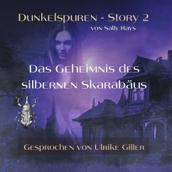 Dunkelspuren - Story 2 (MP3-Download) - Rays, Sally