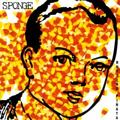 Rotting Pinata - Sponge